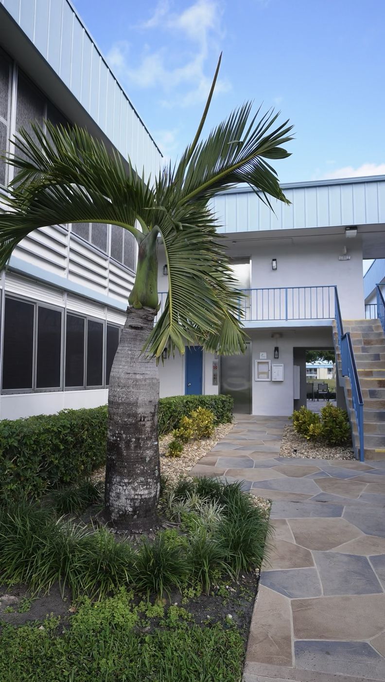 Palm tree landscaping at managed property